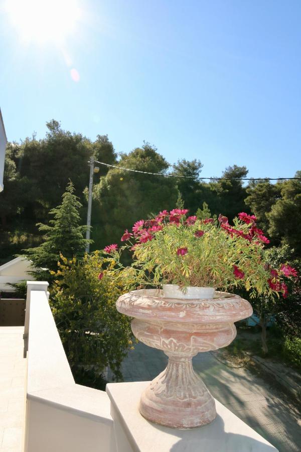 Villa Ariadne Atenas Exterior foto